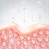 Four Layer Facial