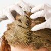 Herbal Henna Treatment
