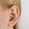 Ears